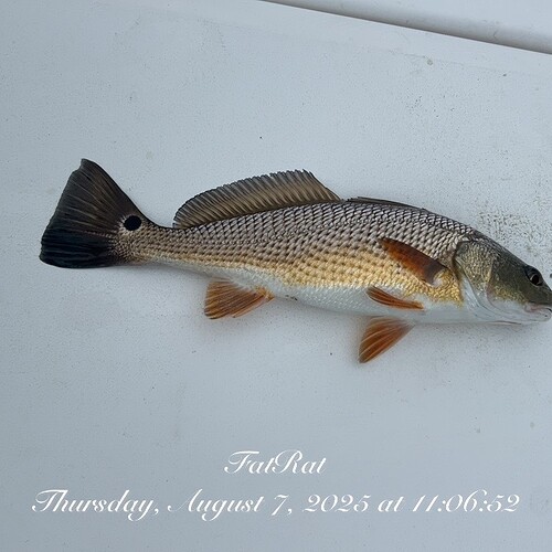 TC_00367