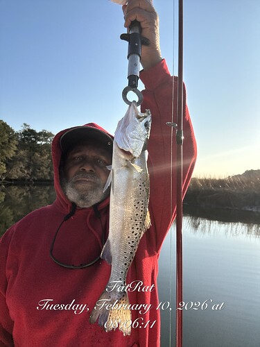 Tues, Weds Bushy Park & other Creeks