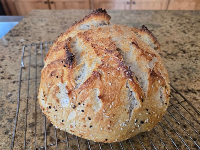 7ffaa8de-58d3-4fa7-a0ec-fa3f0cecf734-1_all_48505