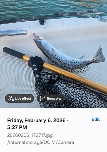 Late evening dead low