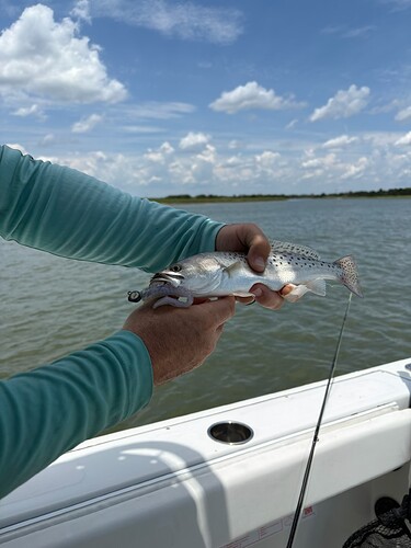 Found the trout