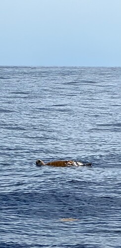 IMG_4640