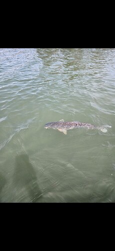 A good Sunday afternoon