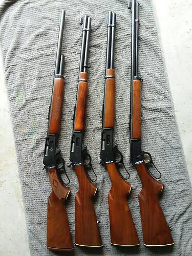 2fe848db-8974-4bfa-8db9-f8054ee9257d-1_all_1201