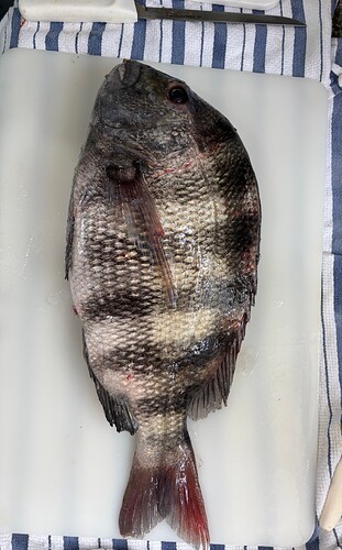 Possibly, Weirder Things Have Happened