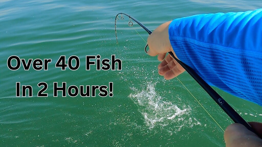 All Out Blitz At The Jetties Inshore Reports Charleston Fishing