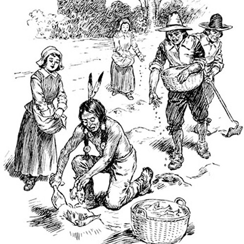 1772625244152629158397614373039