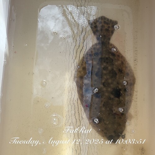 TC_00371