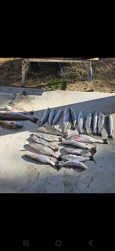 Beautiful day on the water