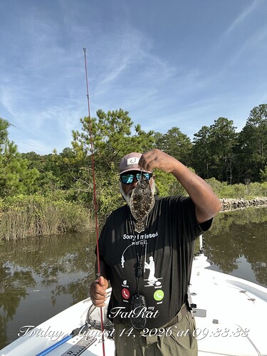 Friday end of week report