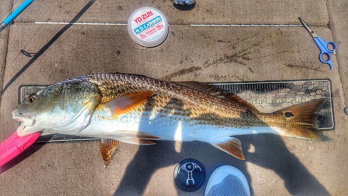 Hot one on the Wando today