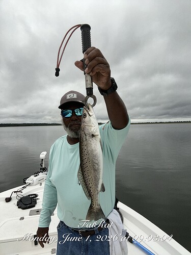 Slamming in the Rain