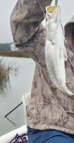 Man was it ever cold!