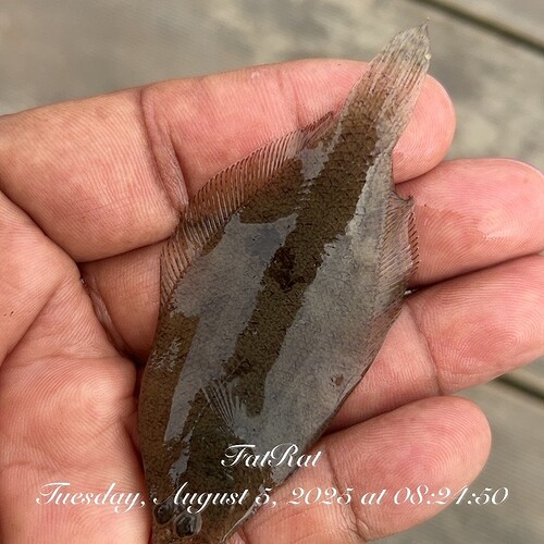 TC_00365
