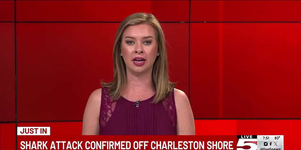 Charleston Shark attack Off Topic Charleston Fishing