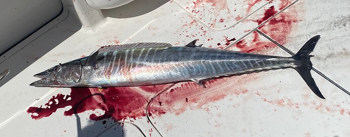 Now Might Be a Good Time