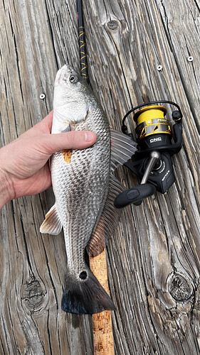 IMG_7132